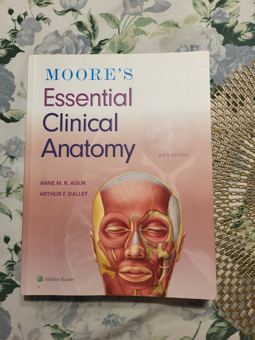 Moore's Essential Clinical Anatomy - Textbook